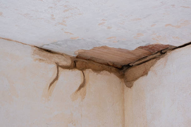 Best 24/7 water damage repair  in Paw Paw, MI