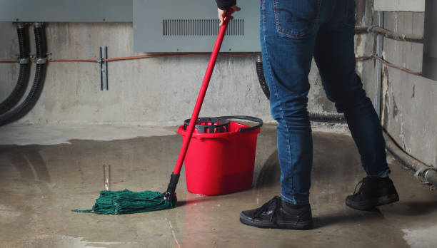 Best Mold removal after water damage  in Paw Paw, MI