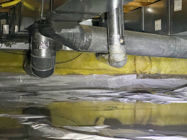 Best Professional water damage repair  in Paw Paw, MI