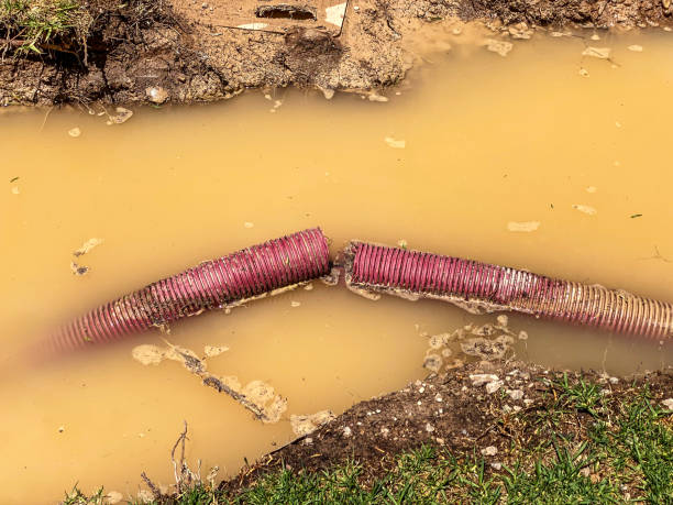 Best Water damage restoration near me  in Paw Paw, MI