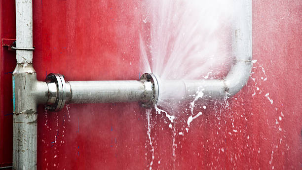 Best Water damage restoration specialists  in Paw Paw, MI