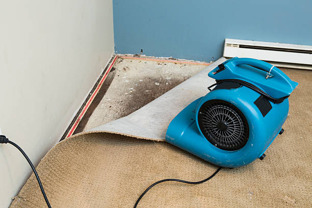 Best Water damage restoration cost  in Paw Paw, MI